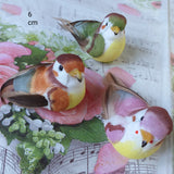 uccellini colorati 6 cm pesca arancio marrone verde rosa decorativi finti artificiali con piume uso hobby creativi decorazione pasqua addobbi composizioni fiori bouquet allestimenti e bomboniere