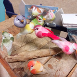 uccellini multicolori 2-6 cm decorativi finti artificiali con piume uso hobby creativi decorazione pasqua addobbi composizioni fiori bouquet allestimenti e bomboniere